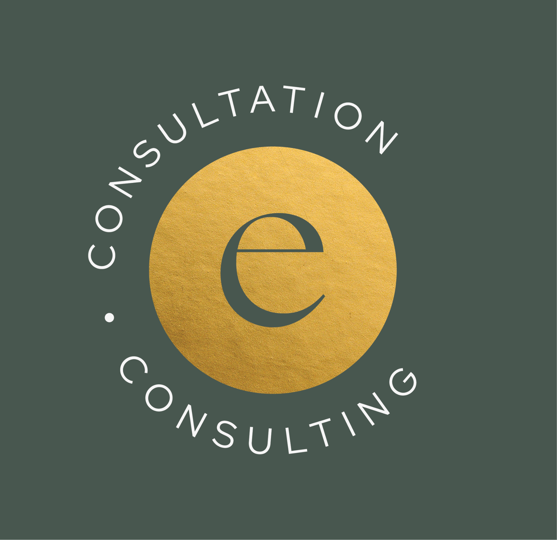Logo Consultation Elentia